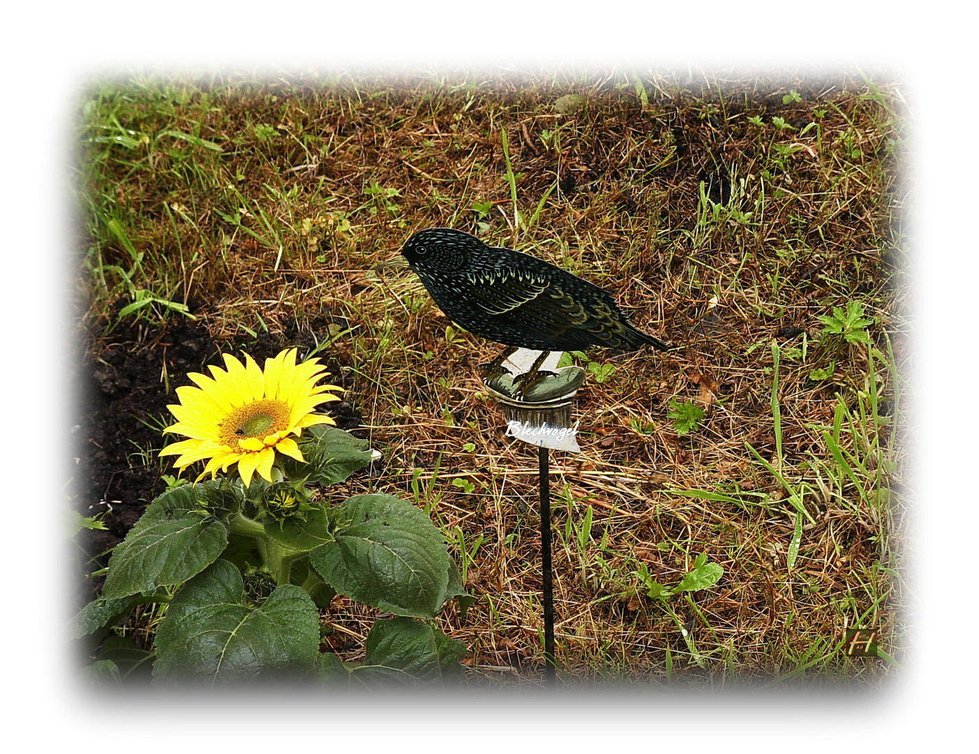 Blechvogel - 'Zugvogel' - im Garten