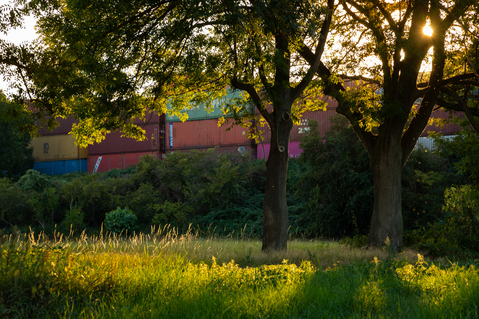 Blechwelt dahinter