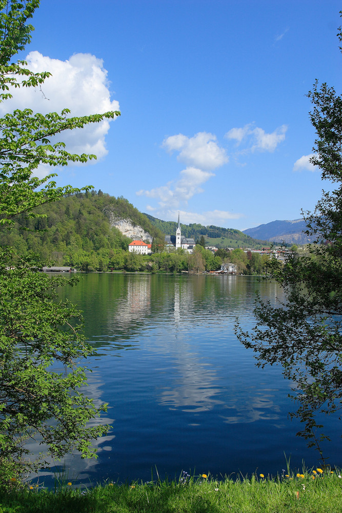 Bled