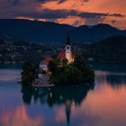 Bled 10