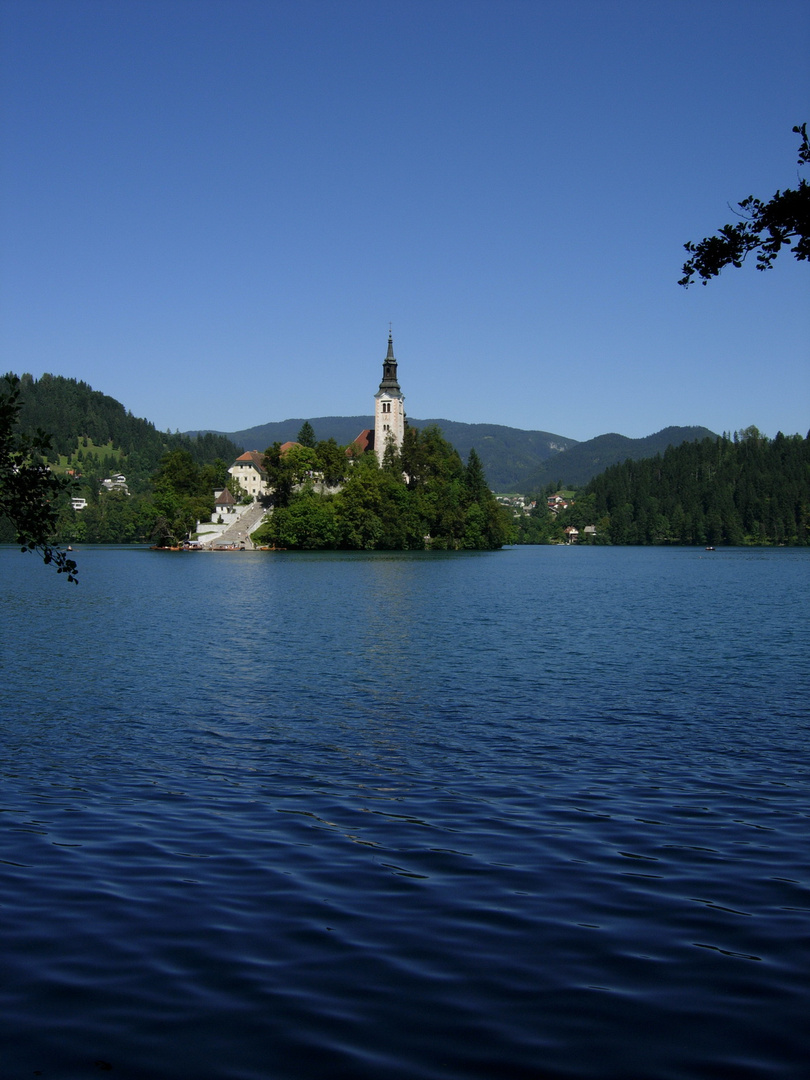 bled