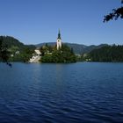 bled