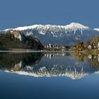 BLED