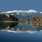 BLED