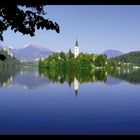 Bled