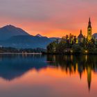 Bled