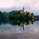 Bled