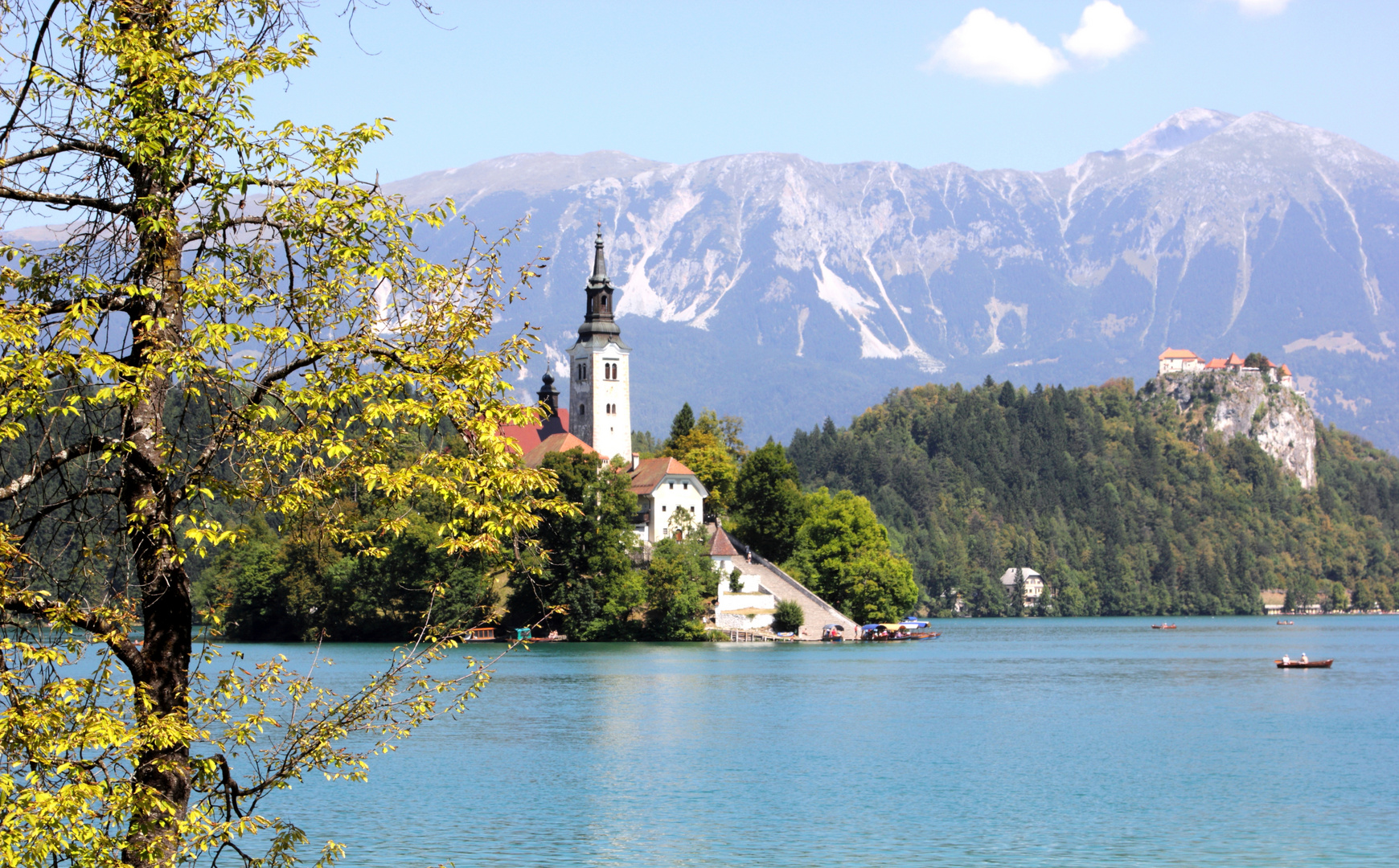 Bled