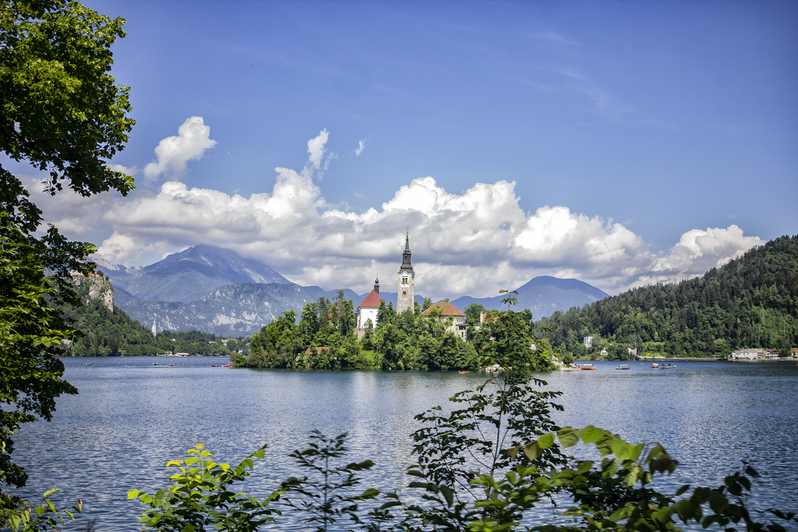 Bled