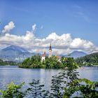 Bled