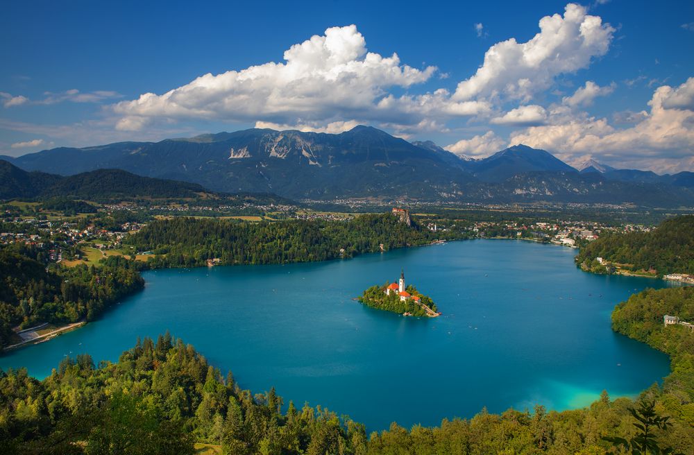 Bled 7