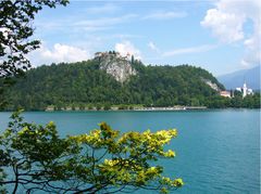 Bled