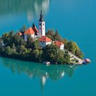 Bled