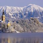 bled by winter