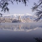 bled by winter