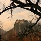 BLED castle - Slovenia