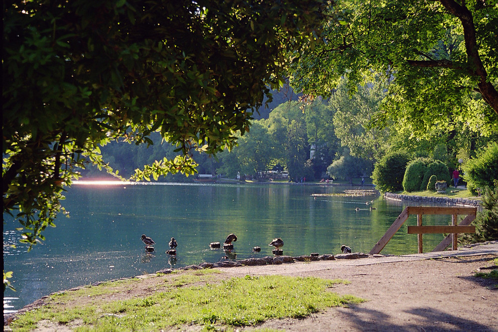 Bled côté sud Slovénie