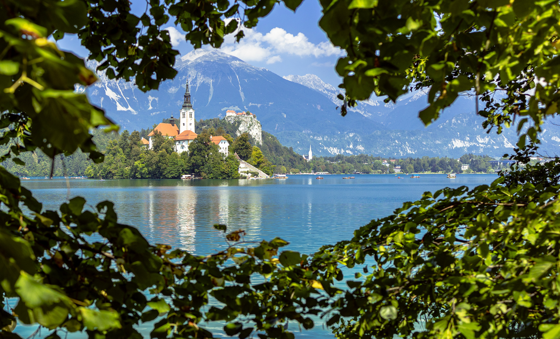 Bled