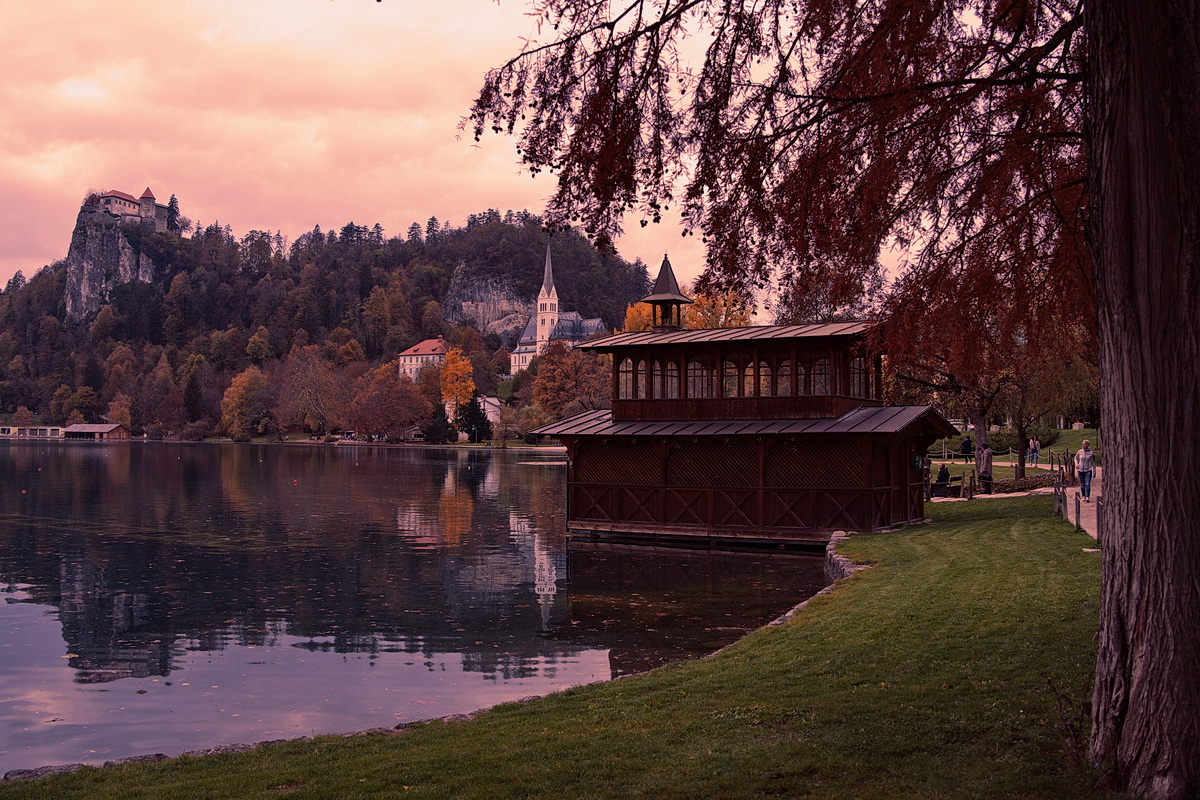 Bled