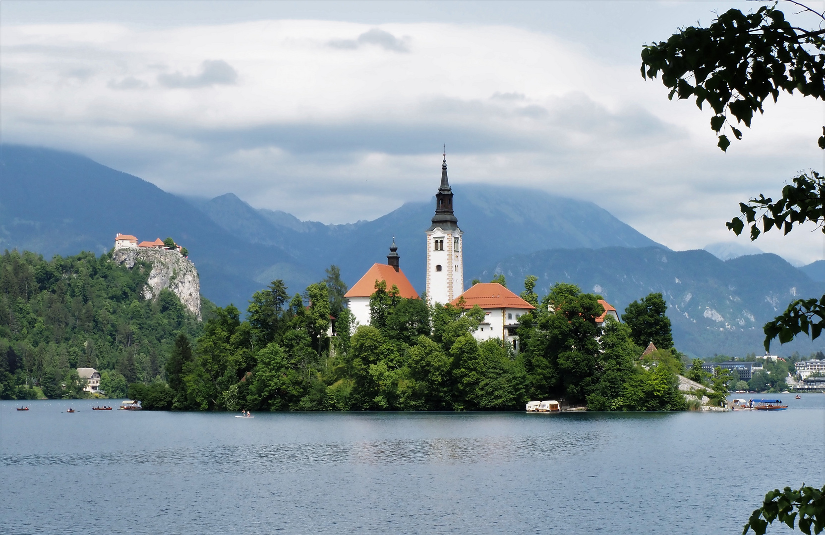 Bled