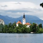 Bled