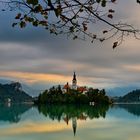 Bled III