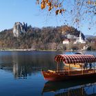 Bled im November