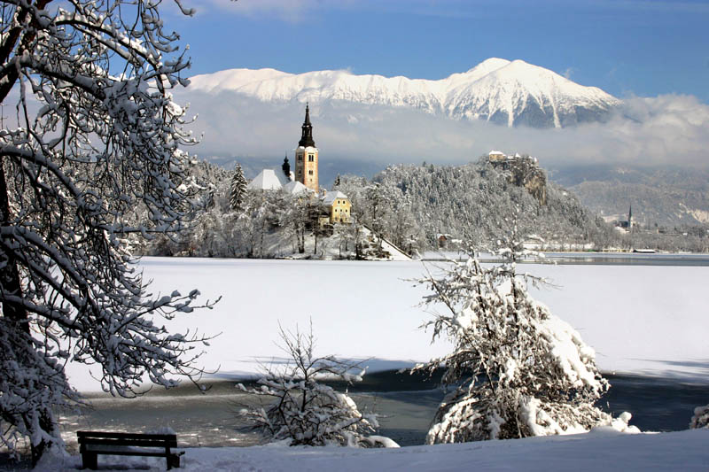 Bled in winter