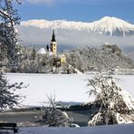 Bled in winter