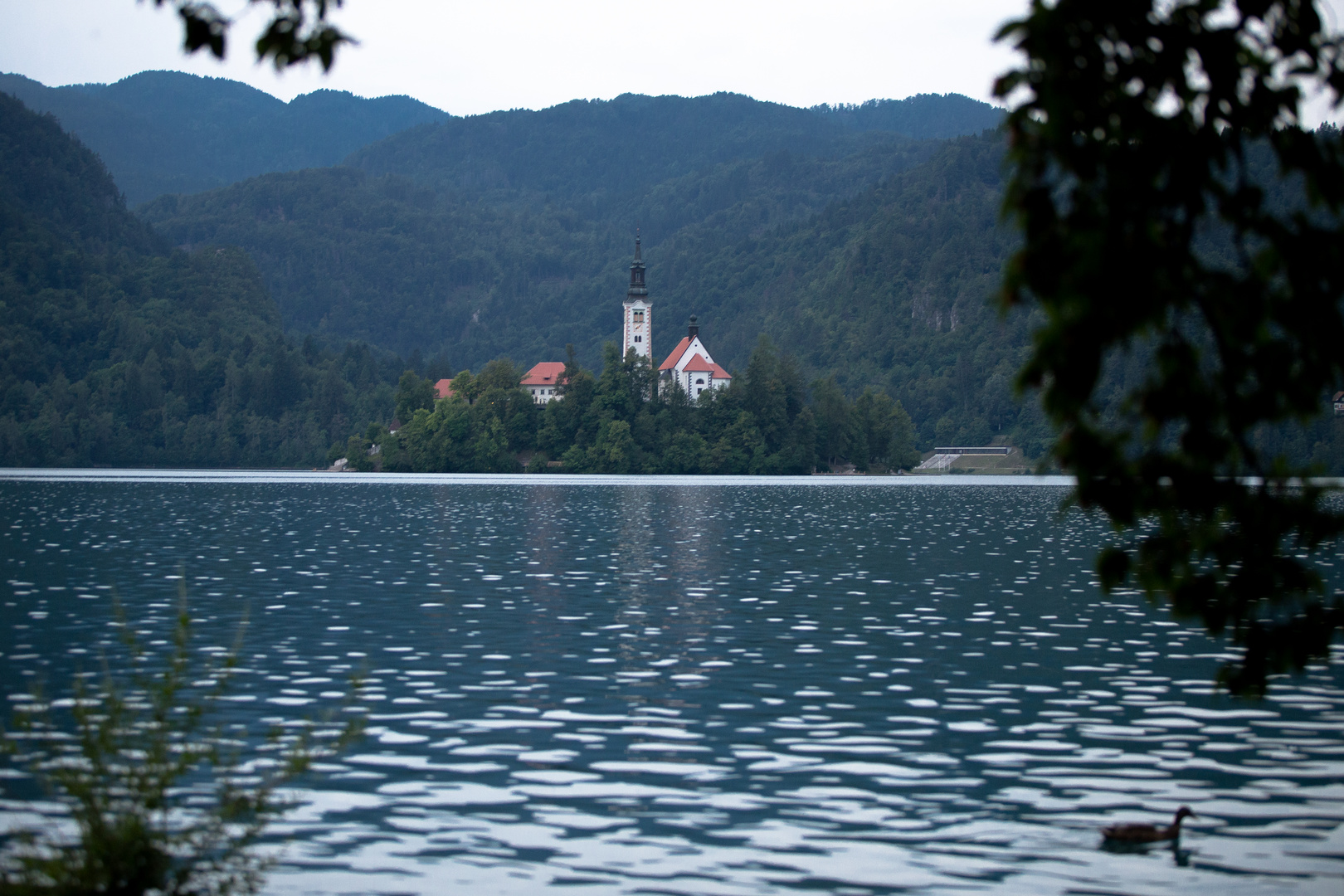 Bled - Insel im See