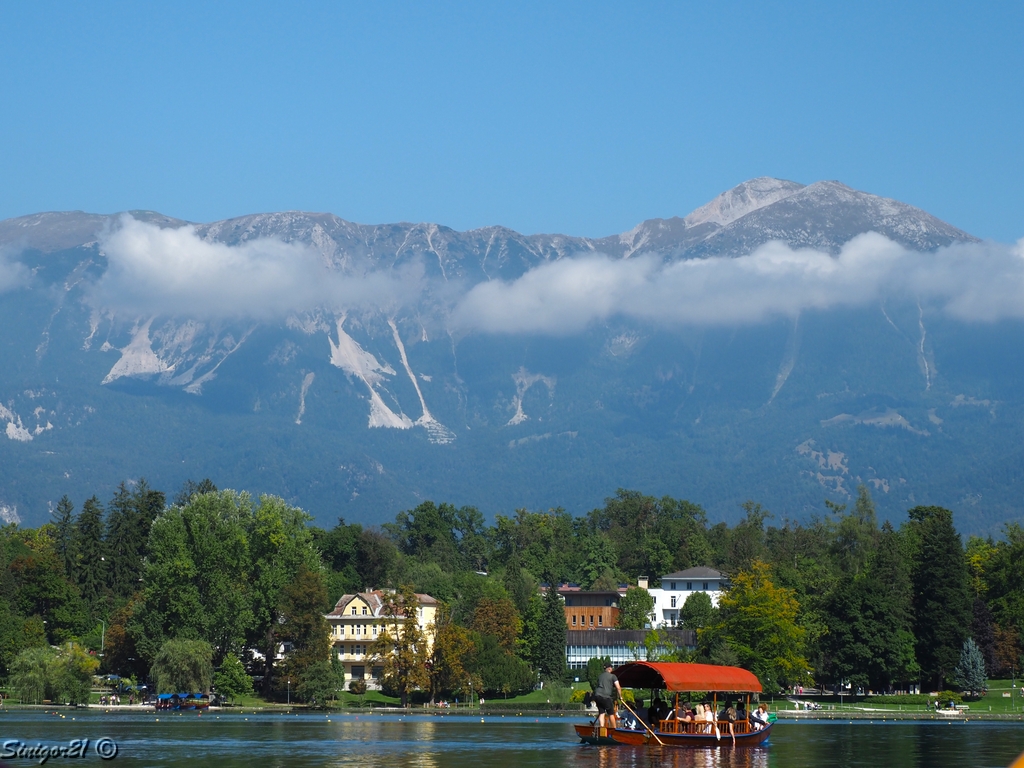 Bled-See und Bergrn