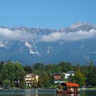 Bled-See und Bergrn