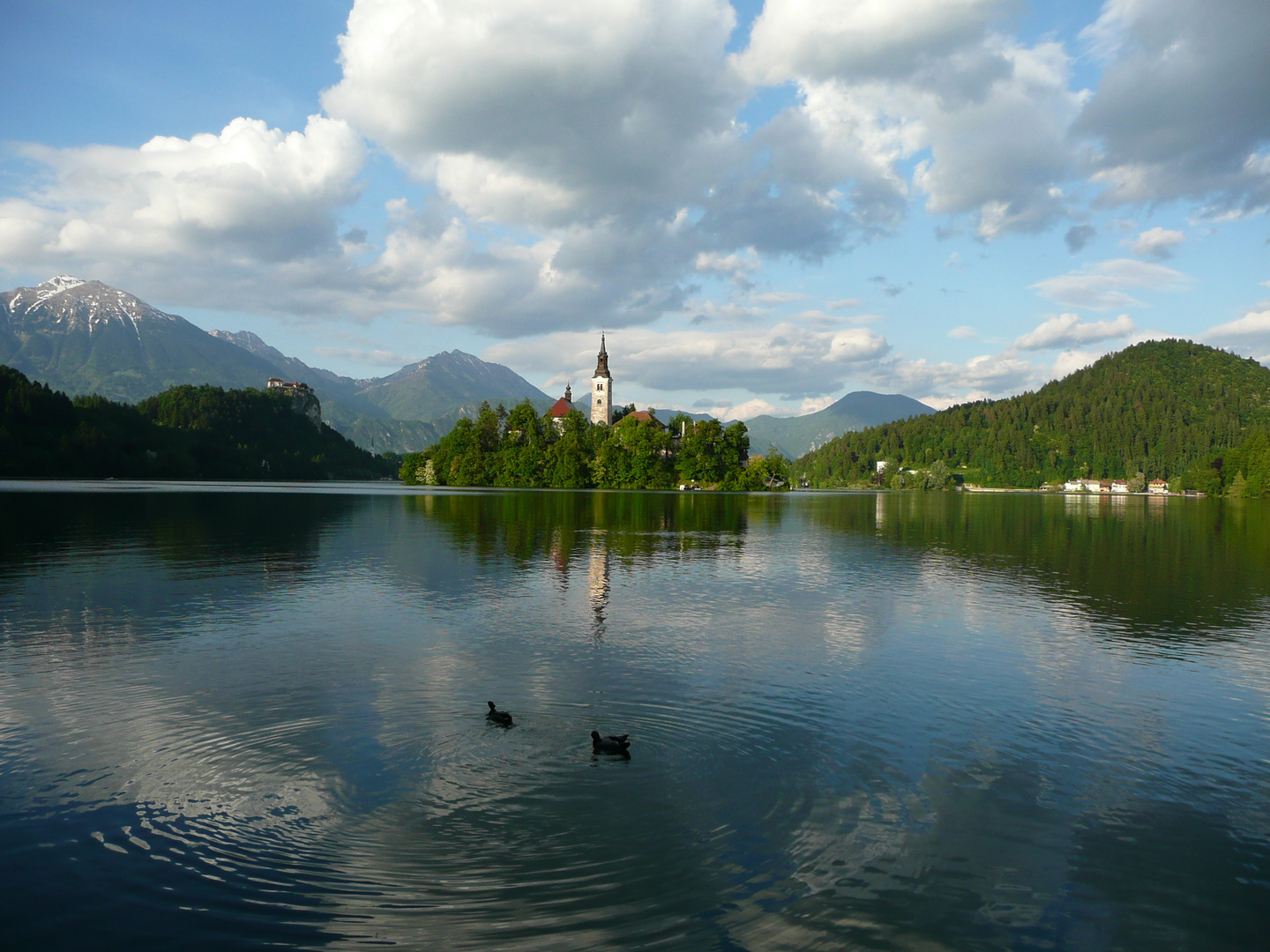 Bleder See - Slowenien