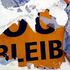 Bleib