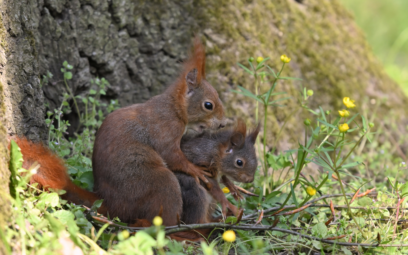 Bleib hier und hör der Mama zu...