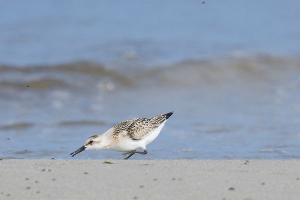 Bleib schön sitzen, bin gleich bei Dir