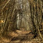 Bleicheröder Berge, Nordthüringen