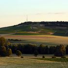 Bleichkopf im Abendlicht