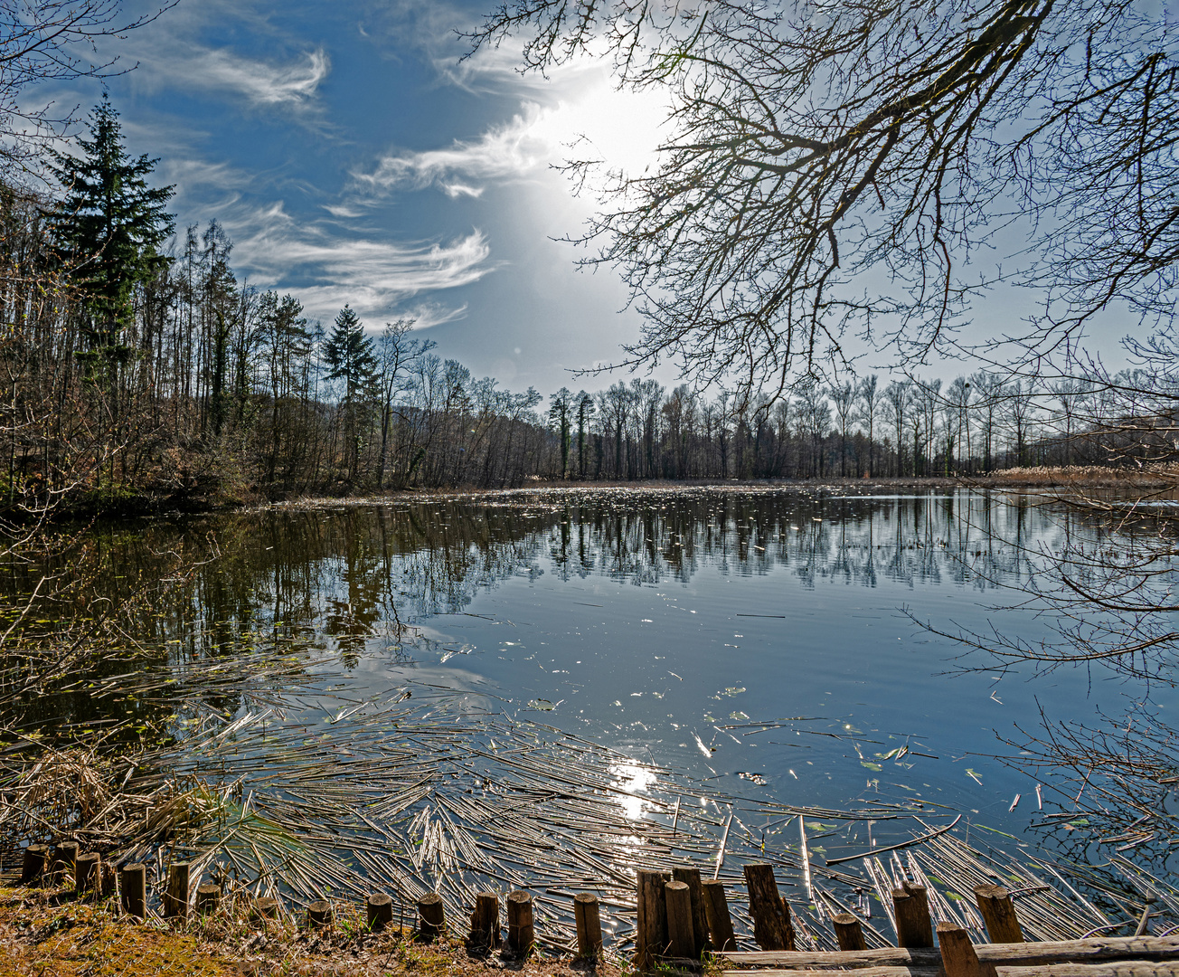 Bleichsee 1