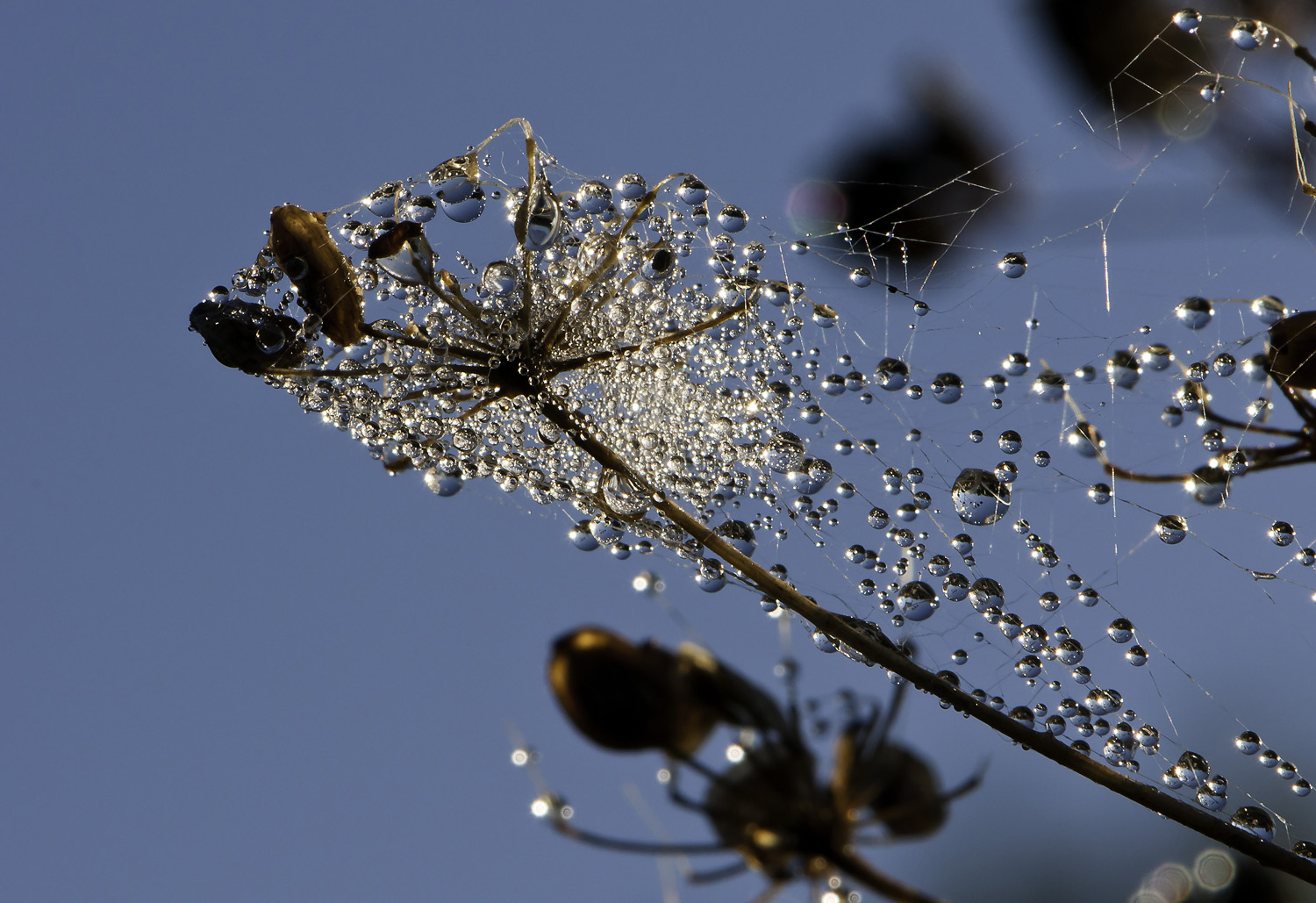 Bleiglastropfen