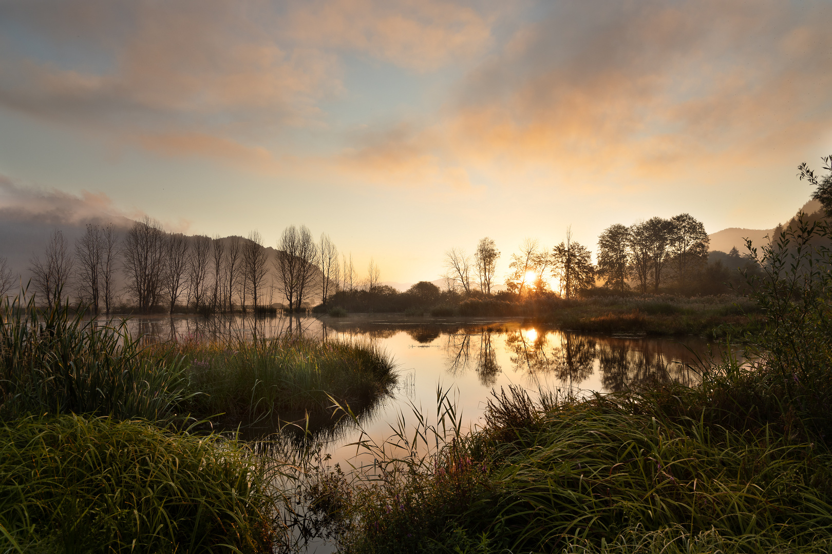 Bleistätter Moor