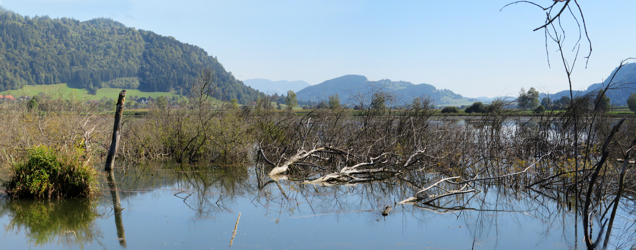 Bleistätter Moor