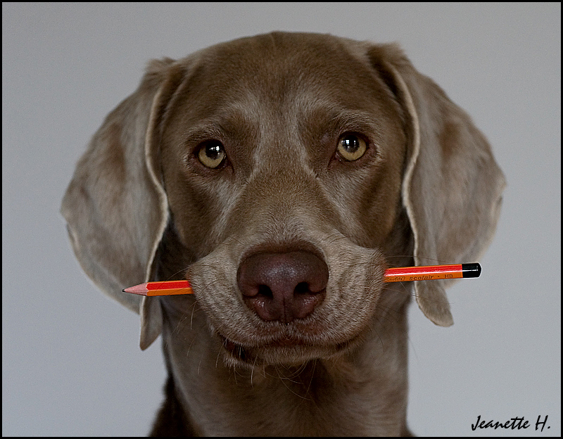 Bleistift-Halter ;-)