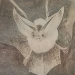 Bleistiftzeichnung Fledermaus