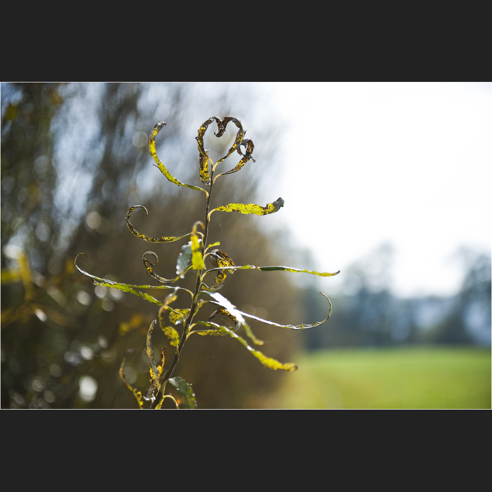 BLENDE 12.8 Foto & Bild jahreszeiten, herbst, landschaften