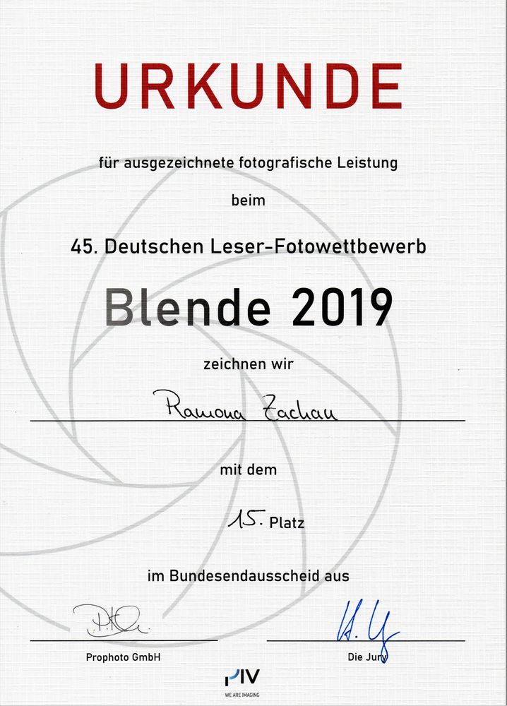 Blende 2019