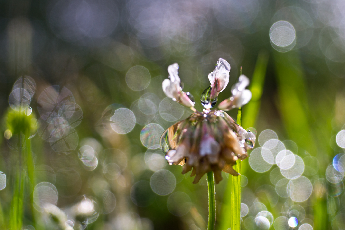 blendendes Glitzern