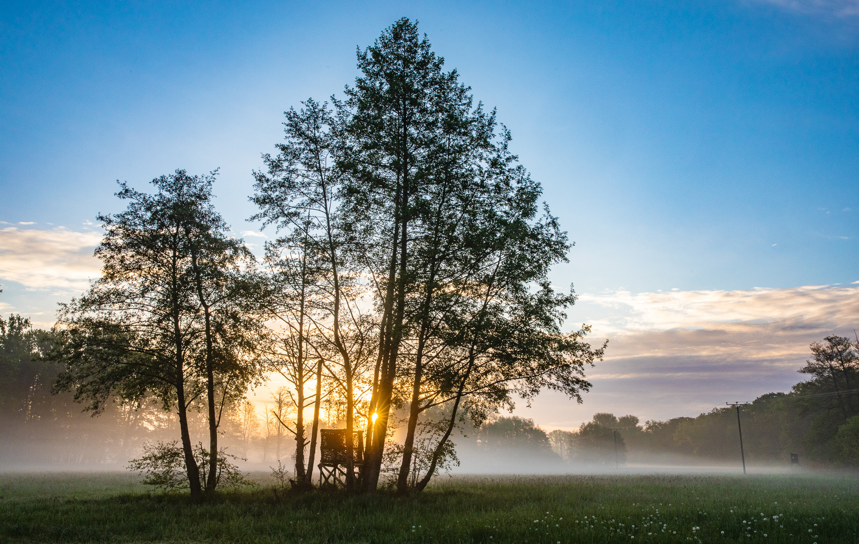 Blendenstern am Morgen...