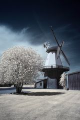 Blender Mühle