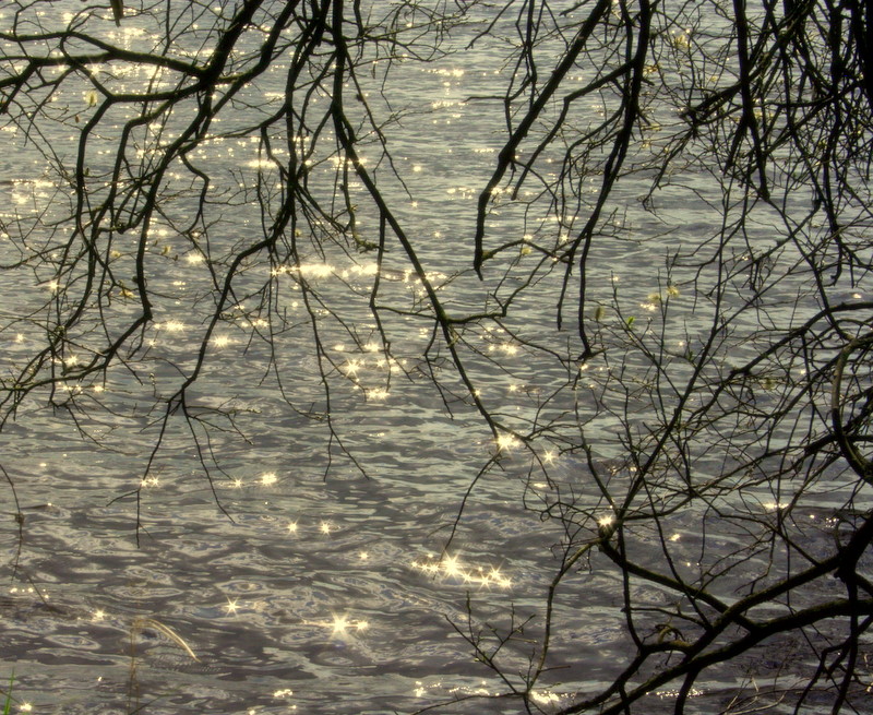 Blessington Lake's Shining